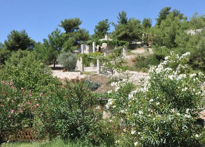 Arsinoi Stonehouses Lejlighed *